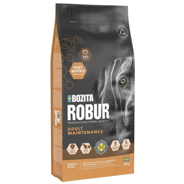 Robur Adult Maintenance 12kg