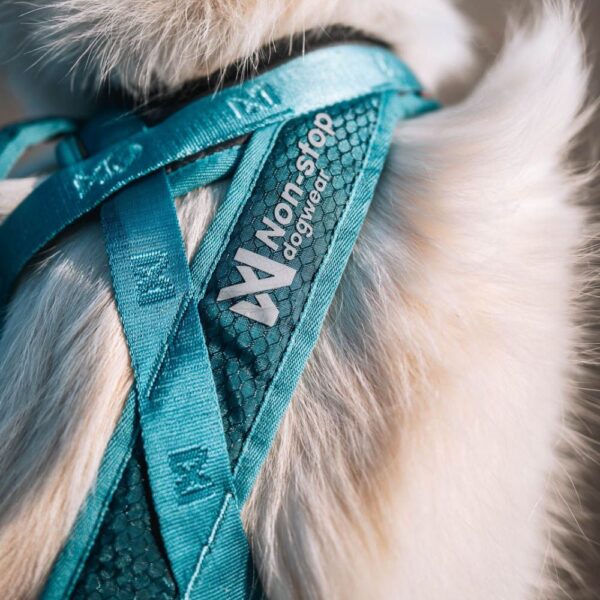 Non-stop Dogwear Rush harness, Teal - Image 3