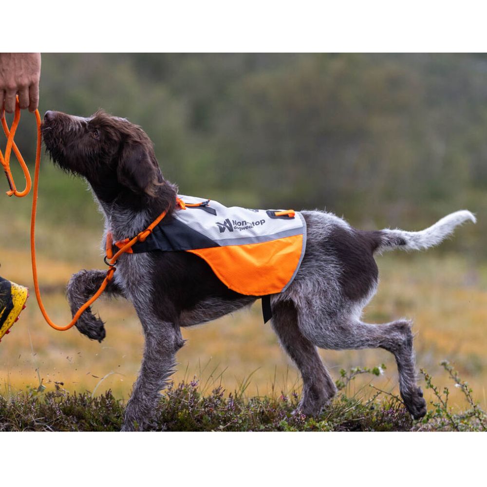 Non-stop Dogwear Protector Cover 2.0, huomioliivi koiralle - Image 2