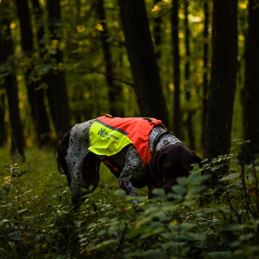 Non-stop Dogwear Protector Vest 2.0 huomioliivi koiralle - Image 2