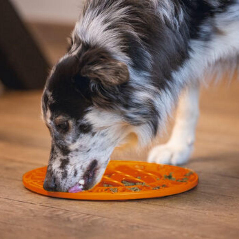 BZ Nuolumatto koiralle, auringonkukka 30cm - Image 3