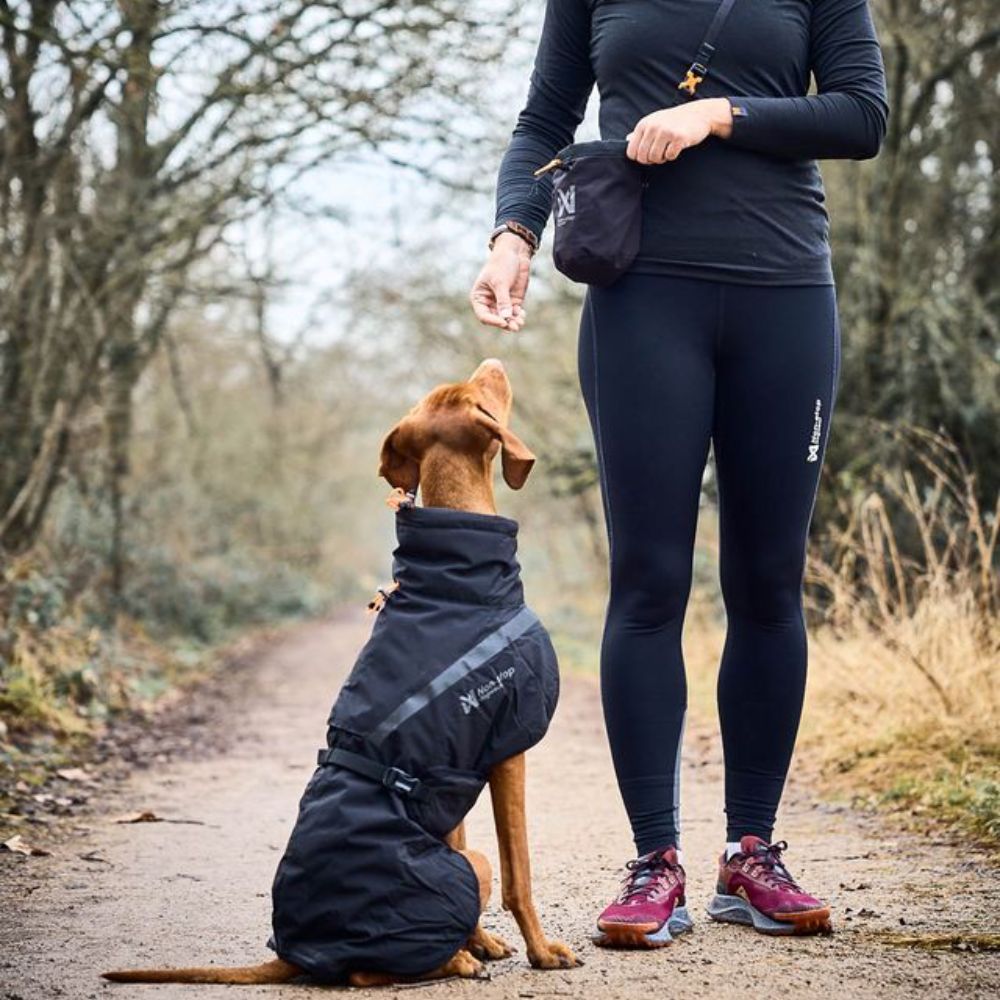 Non-stop Dogwear Treat bag -herkkupussi vyöllä - Image 5