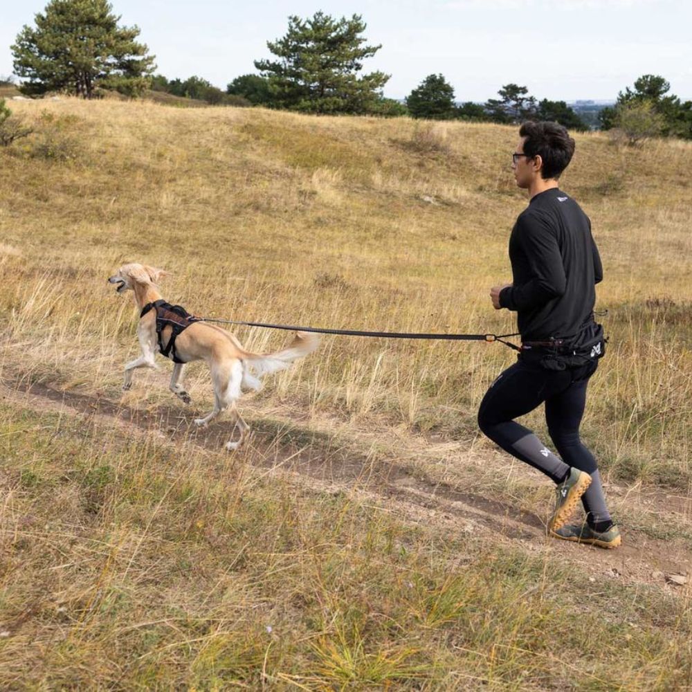 Non-stop dogwear Trail Light Belt -Monipuolinen juoksuvyö - Image 7