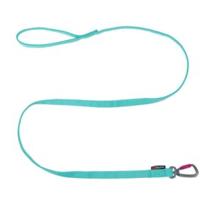 Non-stop Dogwear Bungee Leash, vetonaru – Aqua