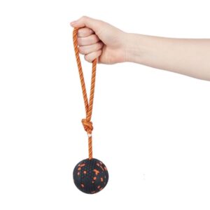 Non-stop Dogwear Dog Ball on Rope